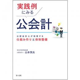 【電子書籍】実践例にみる公会計―公認会計士が指南する仕組み作りと体制整備