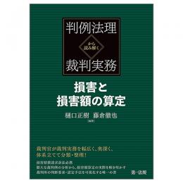 判例法理から読み解く裁判実務　損害と損害額の算定